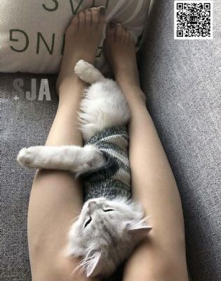 女人又爽又黄小舞唐三视频_高清电影在线看